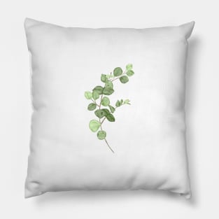 Eucalyptus Botanical Pillow