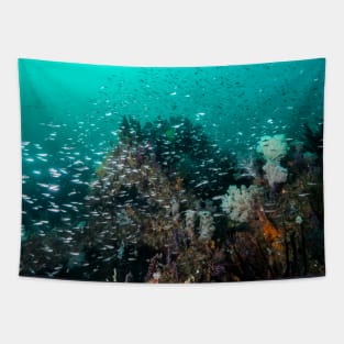 Reef fish cloud Tapestry