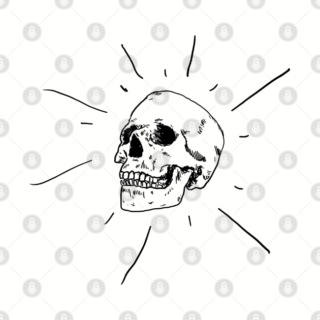 Skull vector by Karliefie