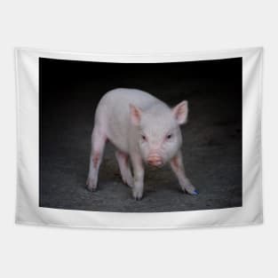 Piggy Tapestry