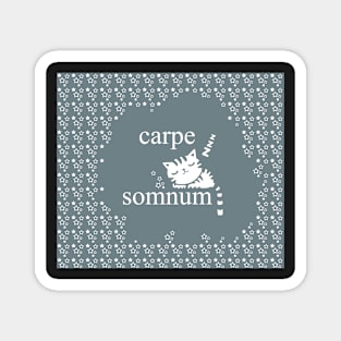 Carpe Somnem Whole Cloth Magnet