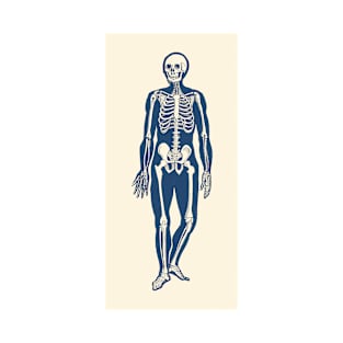 Walking Skeleton - Vintage Anatomy Print T-Shirt