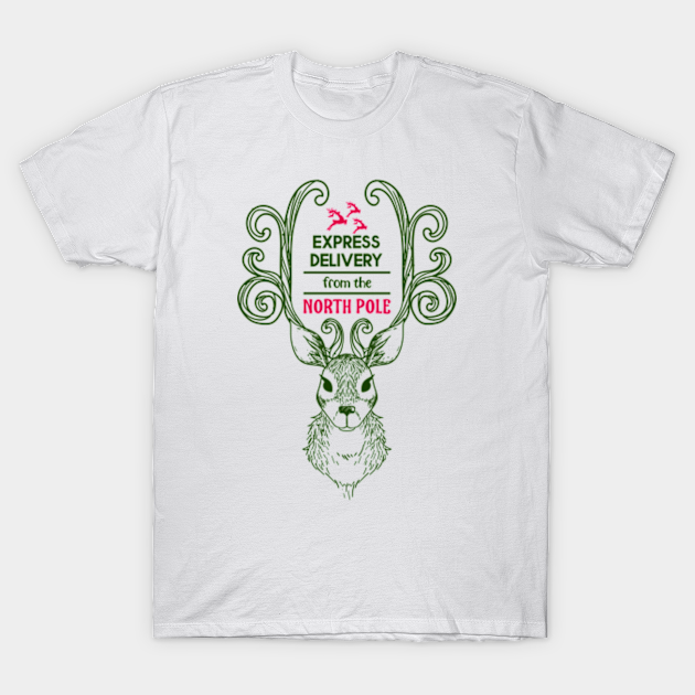 Express Delivery From The North Pole North Pole T Shirt Teepublic De