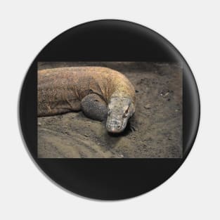 Komodo Dragon Pin