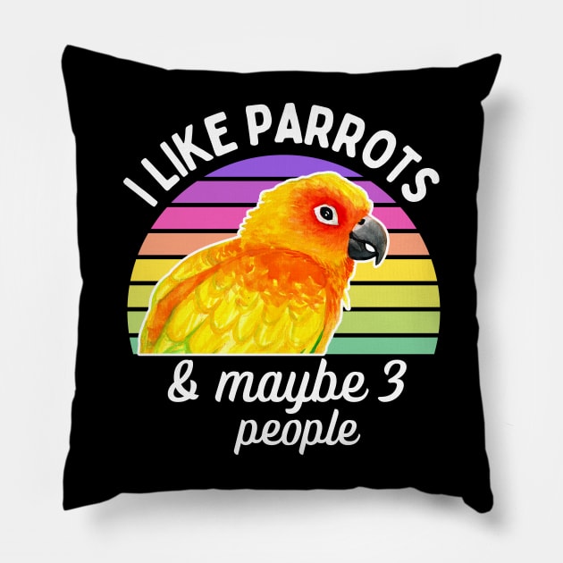 I Like Sun Conure Parrots and Maybe 3 People Pillow by IvyLilyArt