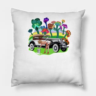 Car wash Pillow