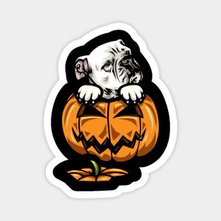 Halloween American Bulldog Pumpkin Magnet