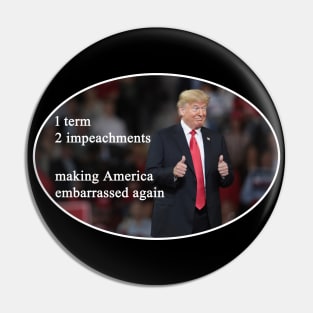 Making America Embarrassed Again Pin