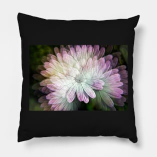 Spanish Daisy Pillow