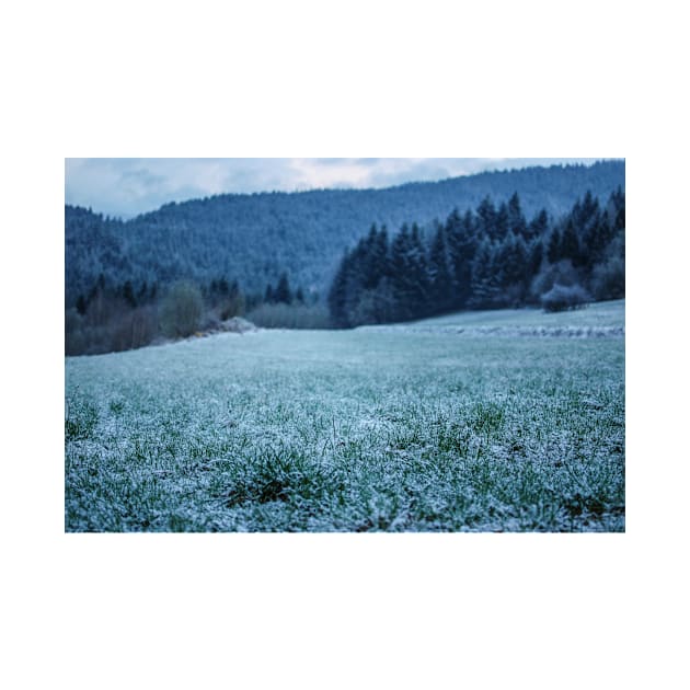 Meadow with first snow by artesonraju