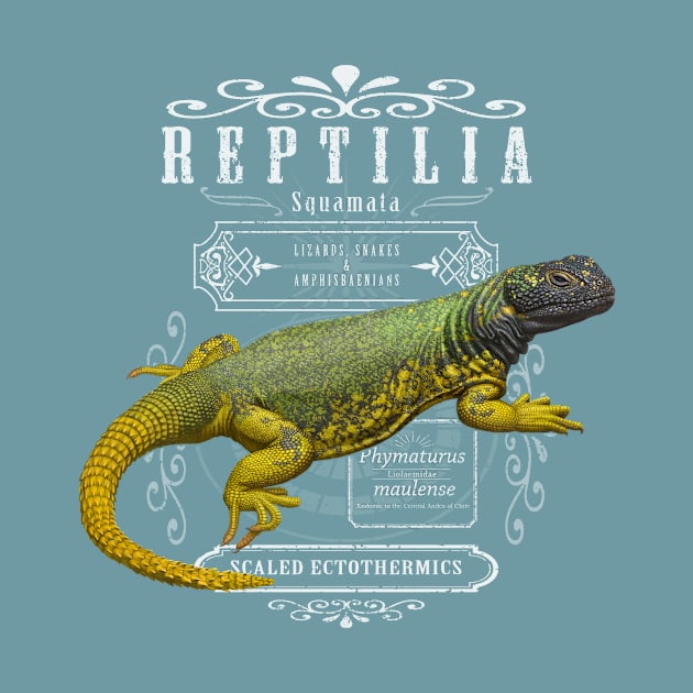 Reptilia by uialwen