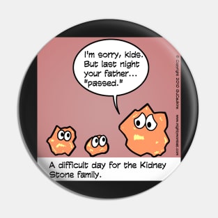 Kidney Stone Family Pin