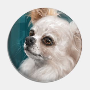 Cute Furry White and Brown Chihuahua on Dark Green Background Pin