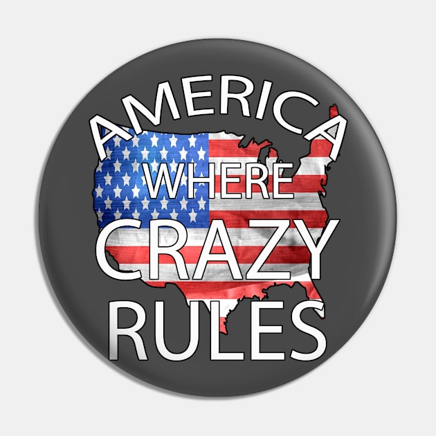 America Where Crazy Rules Pin by Turnersartandcrafts