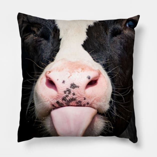 Close Up Of Little Calf Cow Funny Cute Cow Pillow by Karin Wright