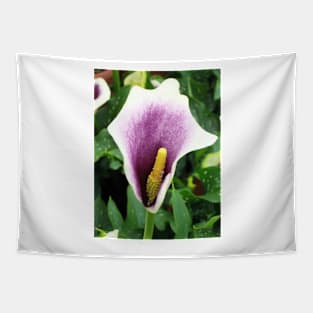 Purple Calla Lily Tapestry