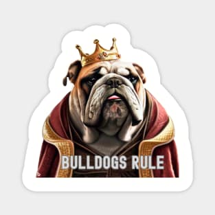 Bulldogs Rule Magnet