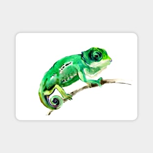 Chameleon, Baby Green Lizard Magnet