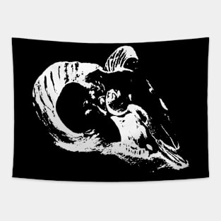 Mysterious Ram Skull (White) Tapestry