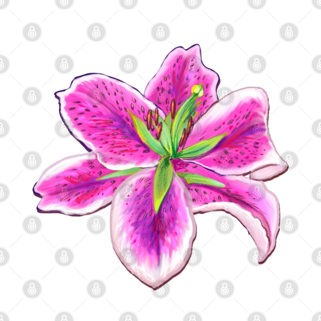 Lilly lily flower pink flowers by Artonmytee