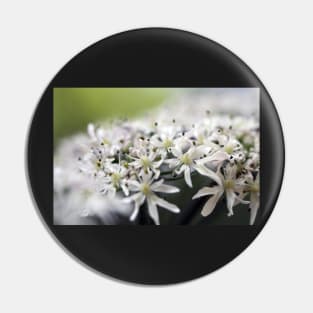 Queen Anne's Lace Pin