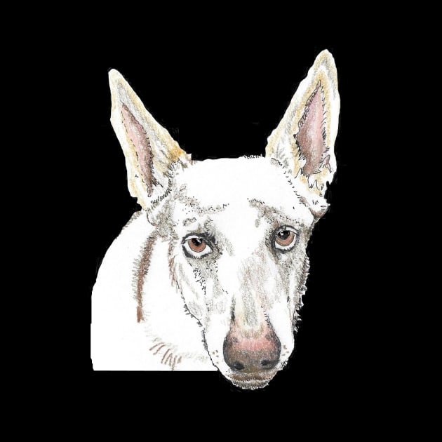 White shepherd SAFFY by Dr. Mary