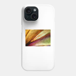 Human tooth, polarised light microscopy (C027/5945) Phone Case