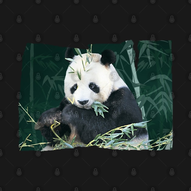 Panda With Bamboo by quingemscreations