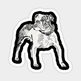 Bulldog Magnet