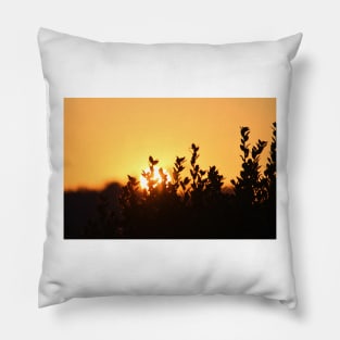 Rising Sun Pillow