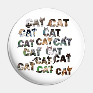 CATS CATS CATS - mixed cat breed oil painting word art Pin