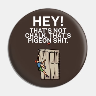 Hey Thats not chalk Thats pigeon shit Pin