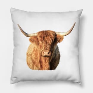 Highland Cow Portrait Pillow