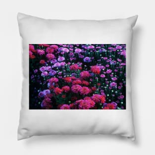 Purple Mood Pillow