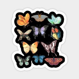 vintage butterfly on black background Magnet