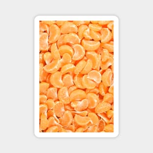 Tangerine fruit Magnet