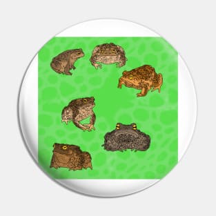 Toads Pattern Green Pin