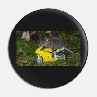 biker mouse on yellow bike Pin