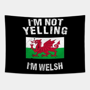 I'm Not Yelling I'm Welsh Tapestry