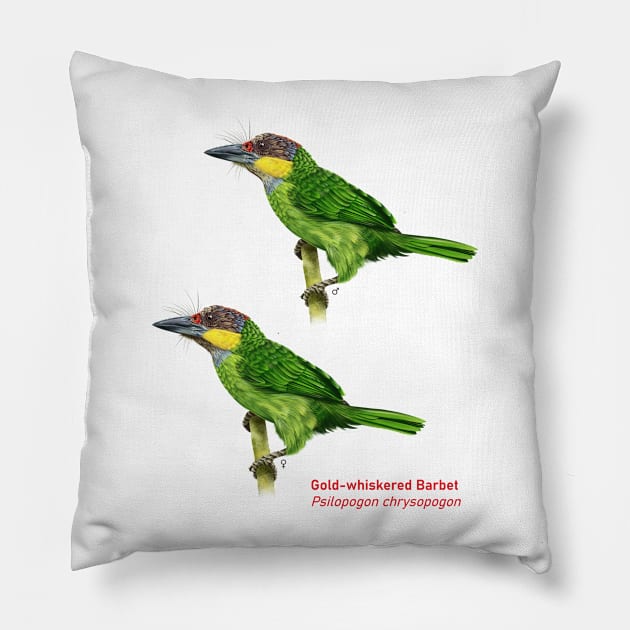 Gold-whiskered Barbet | Psilopogon chrysopogon ⚥ Pillow by bona 