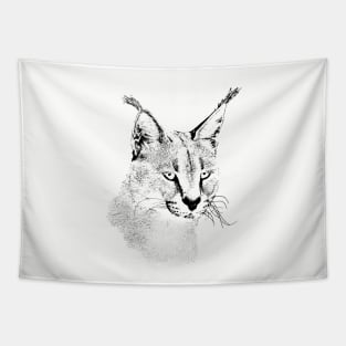 Caracal Portrait | African Wildlife Tapestry