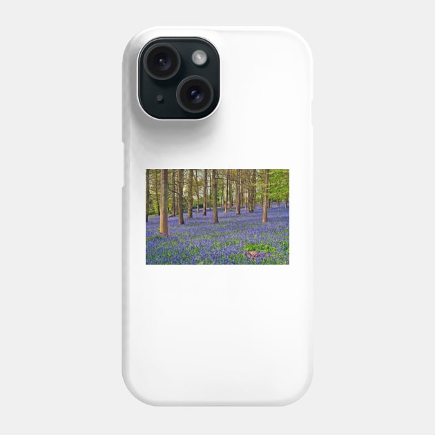 Bluebell Woods Greys Court Oxfordshire UK Phone Case by AndyEvansPhotos