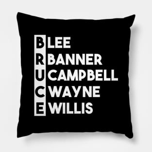 Best Name in the World...Bruce Pillow