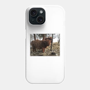 Scottish Highland Cattle Calf 1921 Phone Case