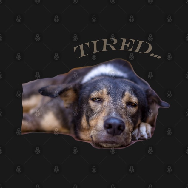 my dog is tired by rickylabellevie