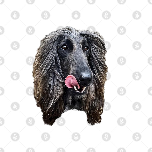 Afghan Hound Cute Dog by ElegantCat