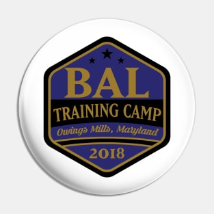 Football TRAINING CAMP Owings Mills, MD!!! Pin