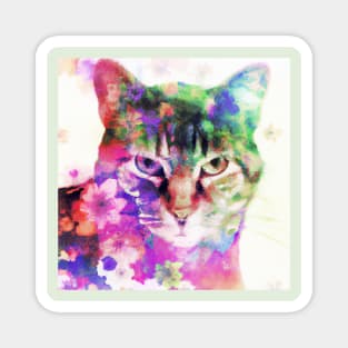 Kitty Cat Surrounded by Flowers Magnet