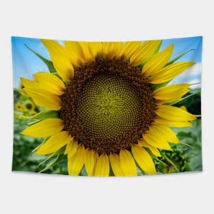 Sun-kissed Sunflower Tapestry