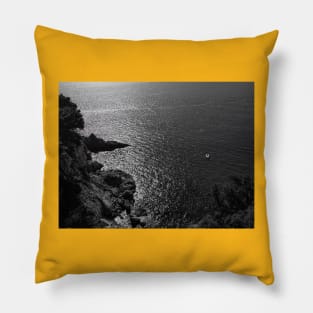 Dark view Pillow